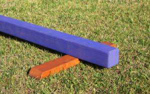 iStock 000009921864XSmall 300x188 Exercises to help with balance for riding a horse