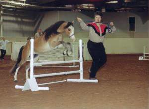 MisterJump 300x220 Lease A Pony