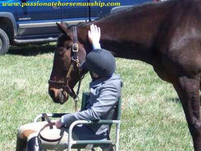 Patting A Horse GirlSittingWithHorse Patting A Horse